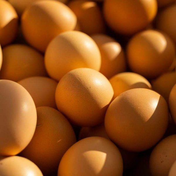 Farm Fresh Brown Eggs — Tray of 30