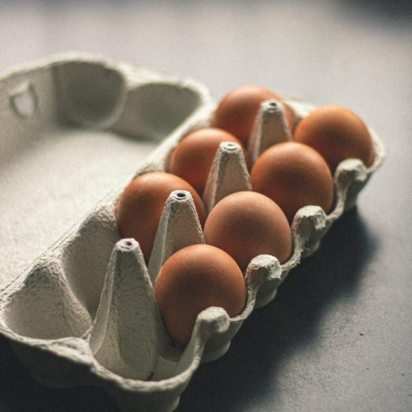 Organic Eggs — Pack of 10