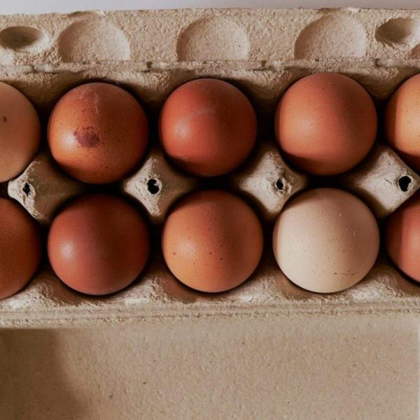 Premium Brown Eggs — Box of 12